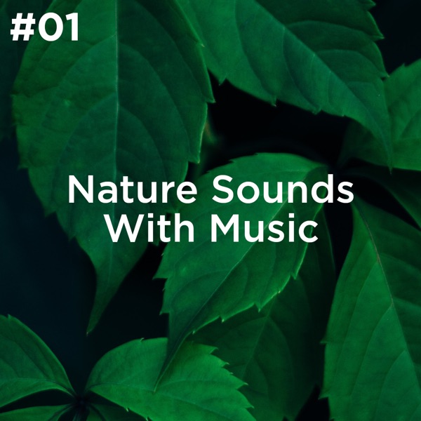 #01 Nature Sounds with Music