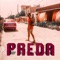 Preda - Tommaso Bo Vignoli lyrics