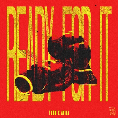 Ready For It - Single
