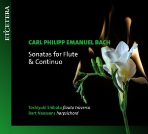 Sonatas for Flute & Continuos: Sonata in D Major, H.561: I. Andante