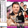 Nicu Paleru - M-Au Pus Mandrele Primar