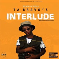 Ta Bravo's Interlude - Single - Bravo Le Roux