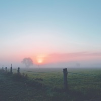 Daybreak - Single - Somniacs & Moonlight Echoes