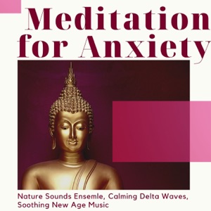 Meditation for Anxiety - Nature Sounds Ensemle, Calming Delta Waves, Soothing New Age Music