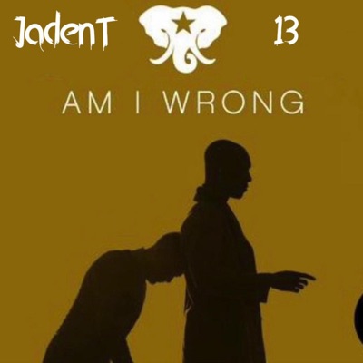 Am I Wrong - Single