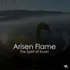 Stream & download The Spirit of Swan - Single