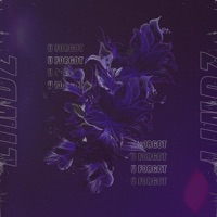 U Forgot - Single - LINDZ