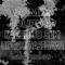 Wall of Noise - Vomir lyrics