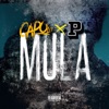 Mula (feat. P Money) - Single