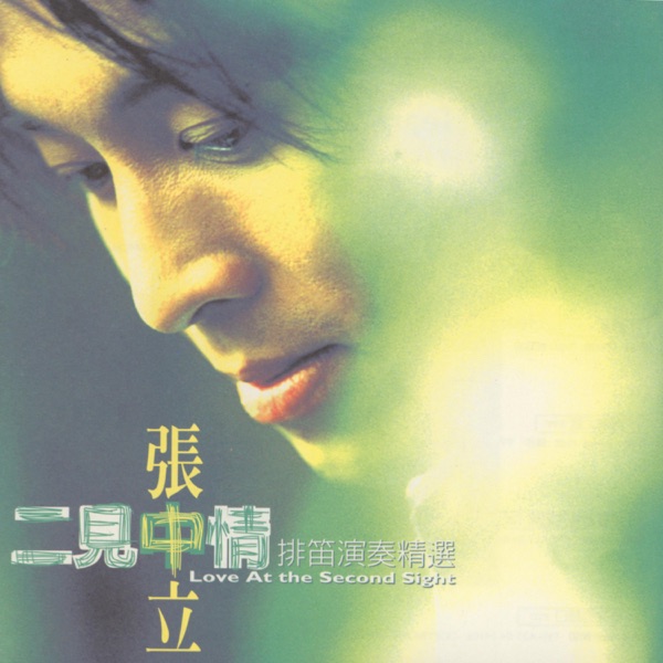 二見中情