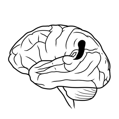 Painting a Woman's Mind - Single