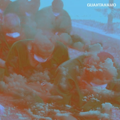 Guantanamo (feat. Distorsione Armonica Totale) - Single