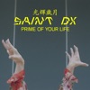 Prime of Your Life - Single