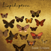 Lepidoptera - Annie Lennox