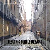 Electric Turtle Dreams