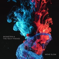 Move Slow - Single - The Tech Thieves & Biometrix