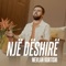 Një Dëshirë - Mevlan Kurtishi lyrics