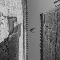 Toast to It - Single - Jacobi Ryan