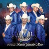 Brillantes - Escondete Dolor