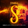 Stimela (feat. Mapetla & Prosoul da Deejay & Inner Muziq) - Single