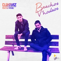 Brachos V'hodaos (feat. Eli Vogel) - Single - DJ Kraz