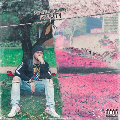 Foreshadowing Reality