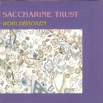 Saccharine Trust - Estuary