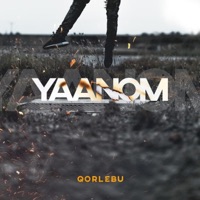 Yaanom - Single - Qorlebu