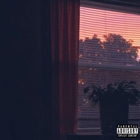 Curtains In My Whip - Single - Vehemntt