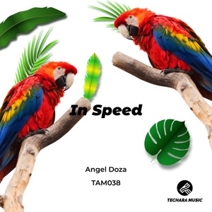 In Speed - Single