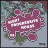 Night Progressive House, Vol.02