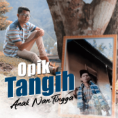 Tangih Anak Nan Tingga song art