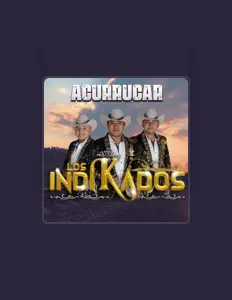Trio Los Indikadosを聴いたり、ミュージックビデオを鑑賞したり、経歴やツアー日程などを確認したりしましょう！