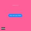 Machine Gun Kelly - why are you here