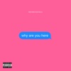 why are you here - Single