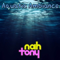 Aquatic Ambiance (feat. RichaadEB, TeraCMusic & Soneji) - EP - Nah Tony