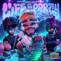 Life of the Party (feat. Bad Neighbors) - Single - Brandon Gomes