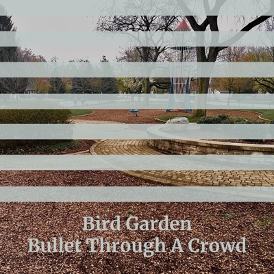 Bullet Through a Crowd - Single