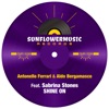 Shine On (feat. Sabrina Stones) [Antonello Ferrari & Aldo Bergamasco Club Mix] cover art