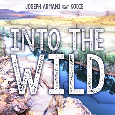 Into the Wild - Single