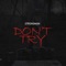 Don'T Try - Strongman lyrics