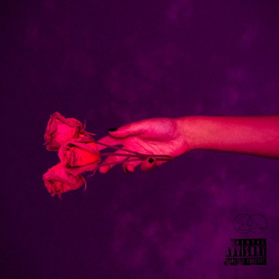 Dónde Siempre - Single