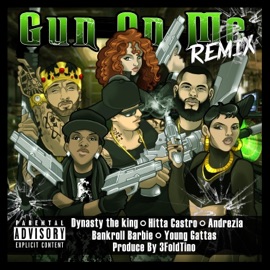 Gun on Me (feat. Dynasty the King, Andrezia, Young Gattas & Bankroll Barbie) [Female Remix] Hitta Castro