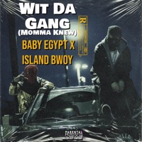 Wit Da Gang (Momma Knew) (feat. Baby Egypt) [Remix] - Single - Island Bwoy