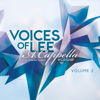 A Cappella Worship, Vol. 2 - Voices of Lee