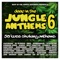 Jungle Demon (DJ Hybrid Remix) - Redline lyrics