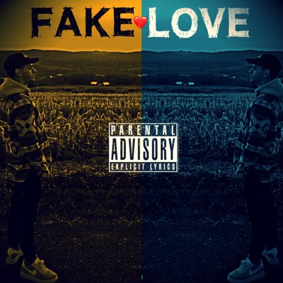 Fake Love - Single