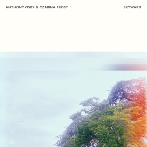 Skyward - Single