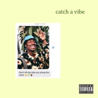 Catch a Vibe - Single - BradBrooks