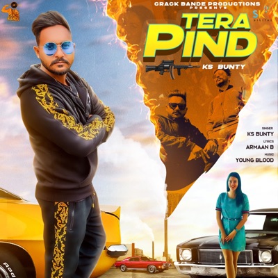 Tera Pind - Single
